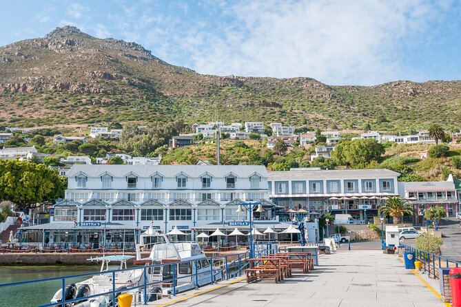 Shared Half Day Tour in Cape Peninsula with African Penguins - Price and value: what $40.98 covers, and what you should budget extra
