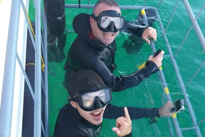 Shark Cage Diving - Sharklady Adventures in Van Dyks Bay, Western Cape