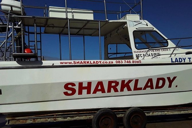 Shark Cage Diving - The 12-meter catamaran setup, and why surface viewing is the whole point