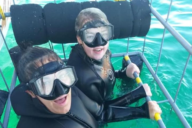 Shark Cage Diving - The floating, drifting cage and what “unlimited quality time” means