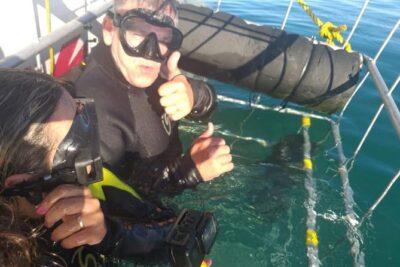 Shark Cage Diving