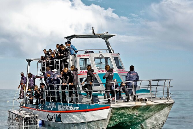 Shark Cage Diving and Viewing with transport from Cape Town - What sharks you might see, and why it is still worth it