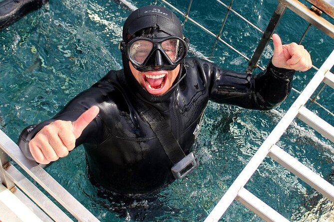 Shark Cage Diving and Viewing with transport from Hermanus - Shark Alley and the in-water cage encounter: what success looks like