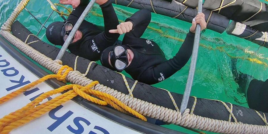 Shark & Whale Trip Combo - Value Check: What You Get for the Price of Around $283