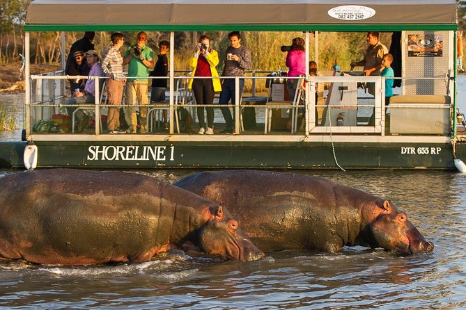 Shoreline Hippo and Crocodile Boat Cruises, iSimangaliso Wetland Park - From Siyabonga Tourism Centre to the Estuary