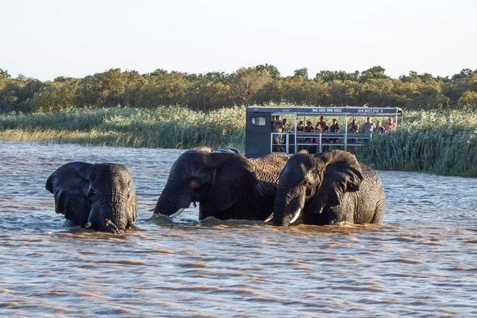 Shoreline Hippo and Crocodile Boat Cruises, iSimangaliso Wetland Park - Pricing and Value: Why $23 Can Feel Like a Deal