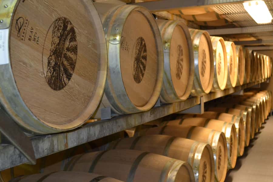 Sip & Savor : A Perfect Half-day Wine Escape to Stellenbosch - Cape Town pickup to Winelands views, plus a needed reality check