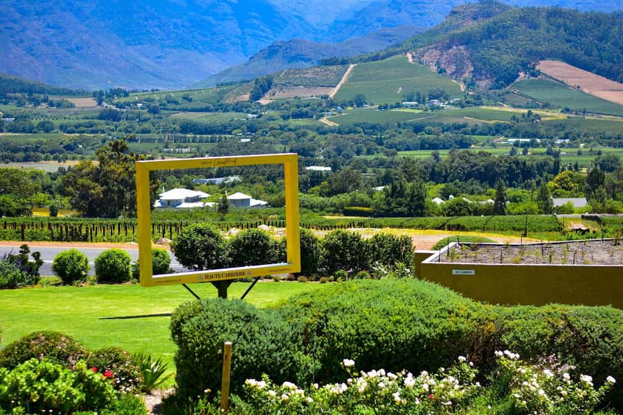 Sip & Savor : A Perfect Half-day Wine Escape to Stellenbosch - Timing and reliability: how to protect your schedule