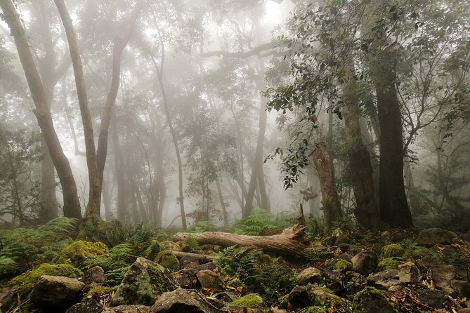 Skeleton Gorge Hike up Table Mountain - Key points to know before you go