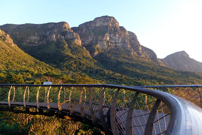 Skeleton Gorge Hike up Table Mountain - Skeleton Gorge: forest canopy, stepped paths, and ladders