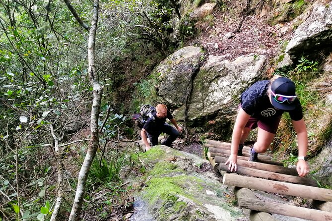 Skeleton Gorge Hike up Table Mountain - Fitness, terrain, and gear choices that actually matter