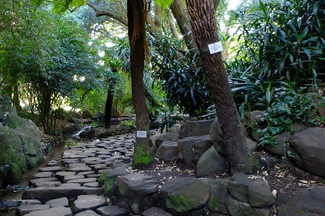 Skeleton Gorge Hike up Table Mountain - Price and value: is $79.75 a fair deal?