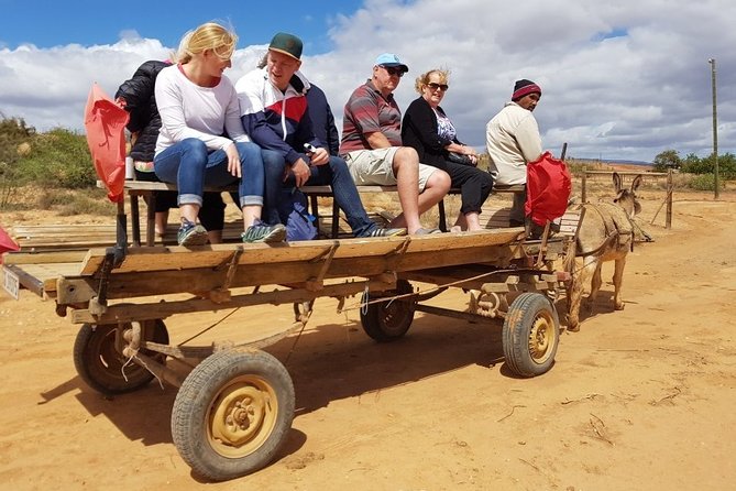Skip the Line: Highgate Ostrich Farm Tour Ticket - Crafts from feathers, eggs, and leather, and why that matters