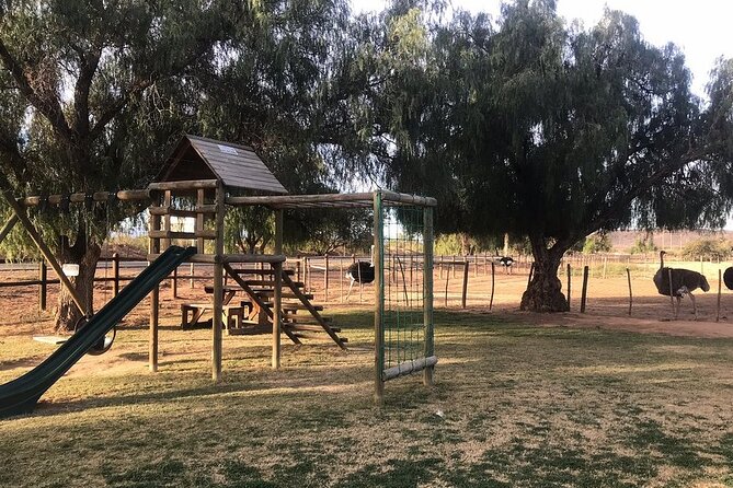 Skip the Line: Highgate Ostrich Farm Tour Ticket - Price and value at about $11.28, and what you should budget for