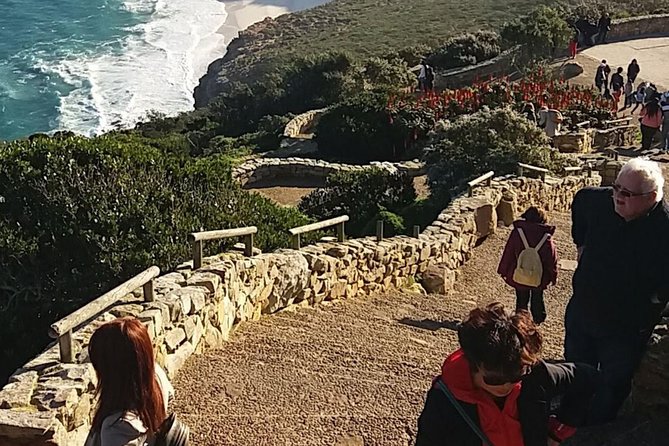 Small Group Cape Of Good Hope Penguins Wine Tasting Inc Park Fees - Boulders Beach penguins in Simon’s Town: the close-up moment