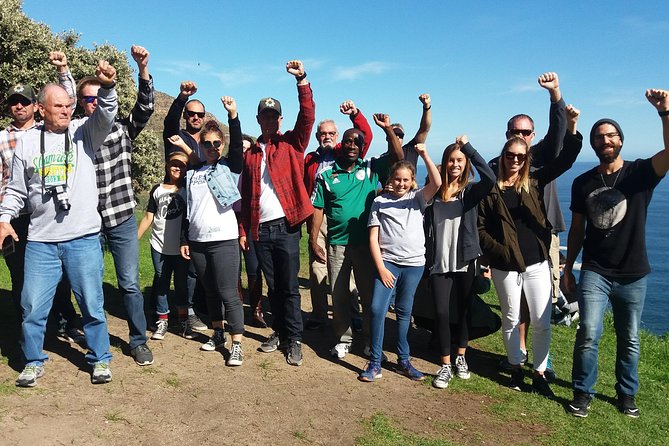 Small Group Cape Of Good Hope Penguins Wine Tasting Inc Park Fees - Hout Bay harbor: seals, fishing boats, and Duiker Island odds