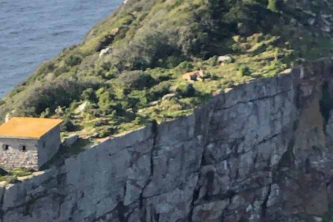Small Group Tour Boulders Beach Penguin Colony Cape of Good Hope - Cape of Good Hope: Cape Point Views and Lighthouse Time