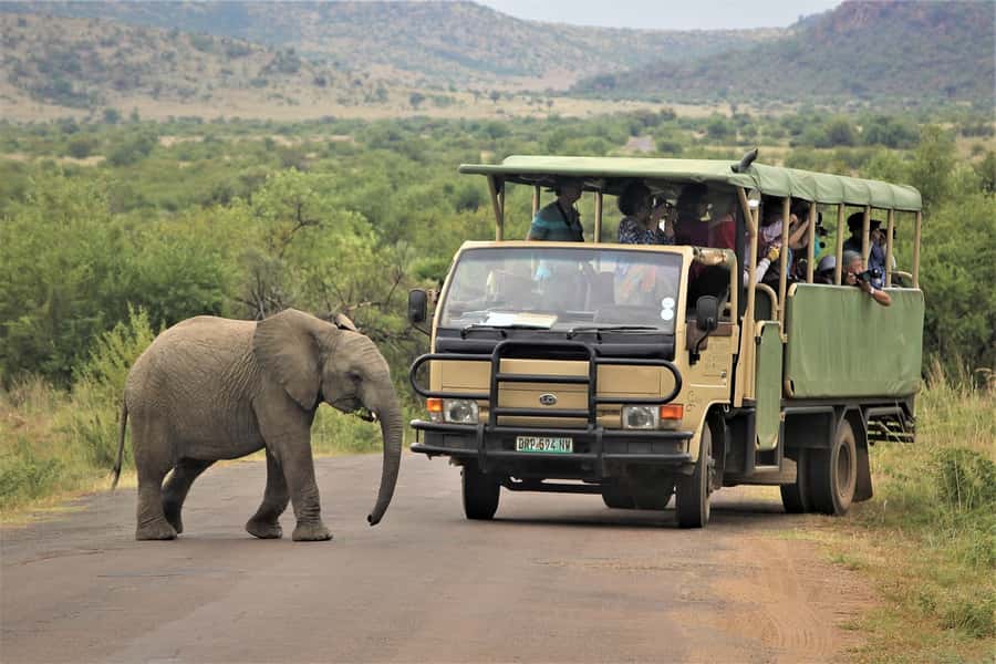South Africa Joburg: Pilanesberg National Park Day Tour - Pilanesberg’s volcanic-crater setting is why this day tour works