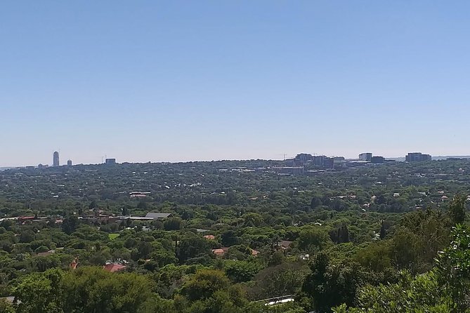 Soweto and Johannesburg Exclusive Full Day Guided Tour - Vilakazi Street and Mandela’s House: The Part You Will Remember