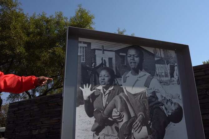 Soweto Township Tour - Birdwatching During a Township Walk: A Quieter Kind of Seeing