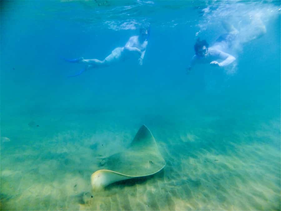 St. Lucia: Cape Vidal Snorkeling Adventure - Price and value: where the $28 per person really makes sense