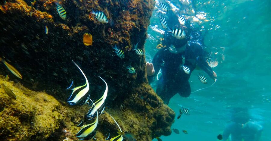 St. Lucia: Cape Vidal Snorkeling Adventure - Who this suits best, and who should reconsider