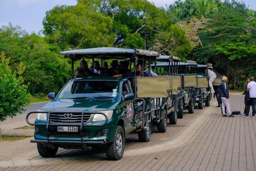 St Lucia: iSimangaliso Wetland Park: Full-Day/Half-Day Tour - St Lucia pickup, timing, and what the day actually feels like