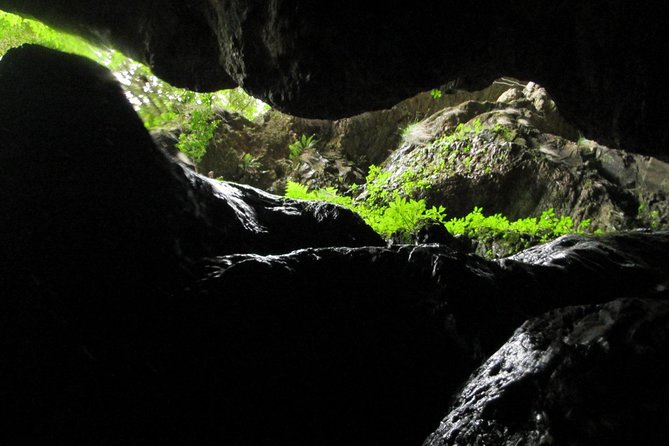 Standard Canyoning Trip in The Crags, South Africa - Indigenous Forest to Canyon Start: The Moment It Becomes Real