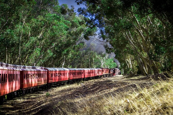 Steam Train to Elgin Railway Market - Elgin Railway Market: steampunk-Art Deco food, crafts, and fires