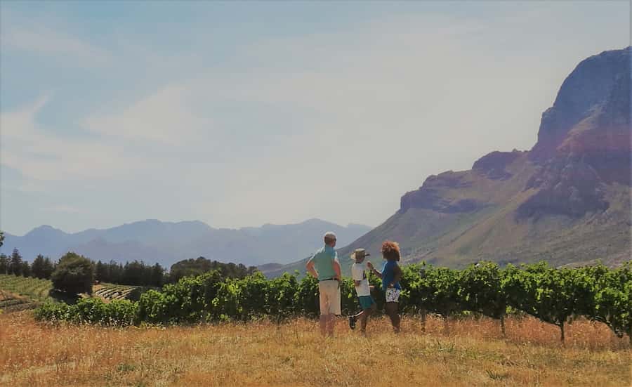 Stellenbosch: 4x4 Winelands Private Experience - Why a 4x4 makes Stellenbosch feel more like the real deal