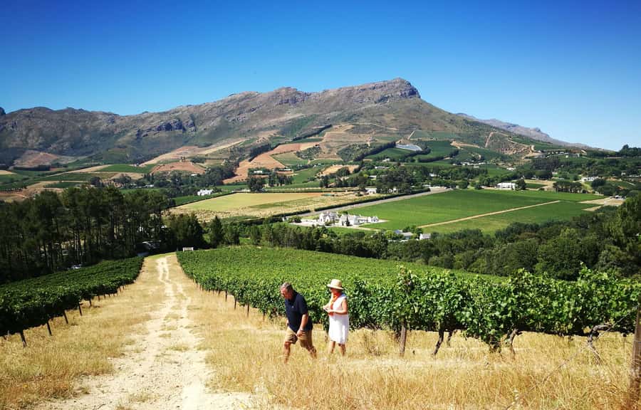 Stellenbosch: 4x4 Winelands Private Experience - The 8-hour flow: pickup, 3 to 4 estates, tastings, and your lunch plan