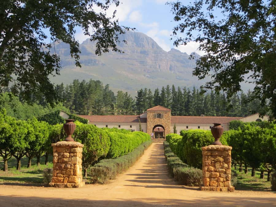 Stellenbosch: All-inclusive Private Wine Tour & Tastings - Key highlights you should care about