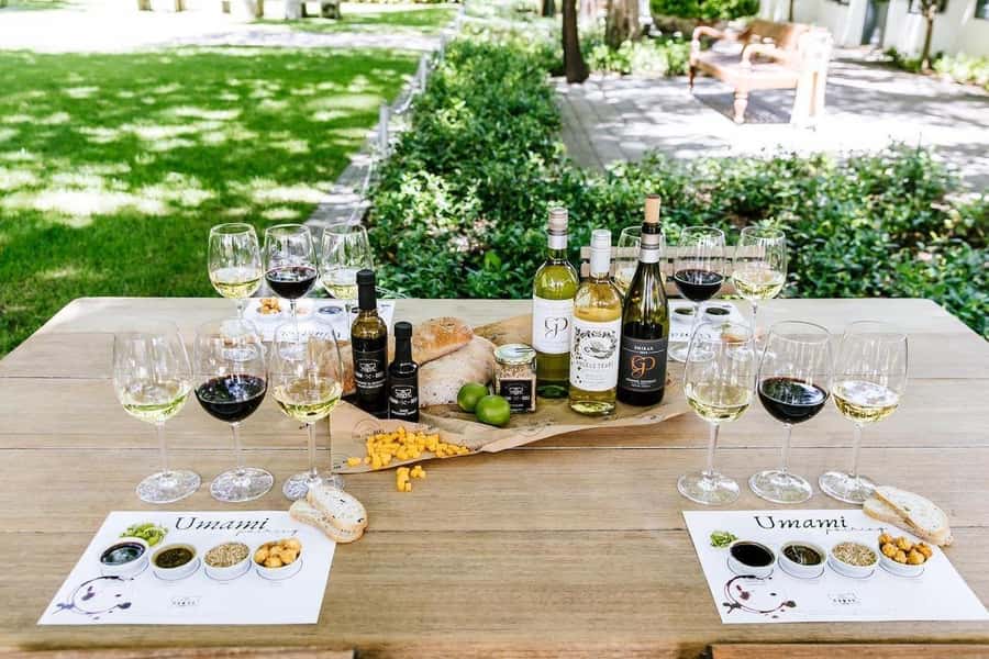 Stellenbosch: All-inclusive Private Wine Tour & Tastings - Why this private Stellenbosch wine day beats the usual hop-on hops