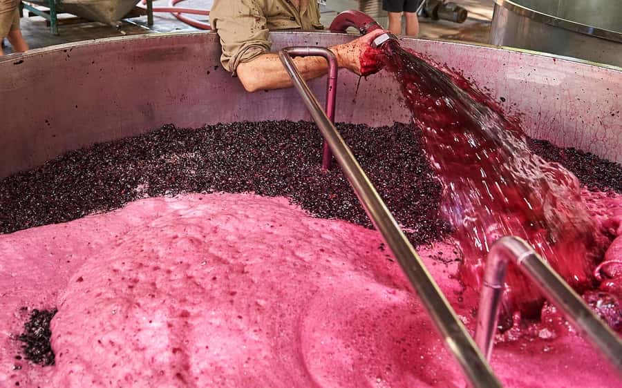 Stellenbosch: All-inclusive Private Wine Tour & Tastings - Price, pacing, and value for $158 per person
