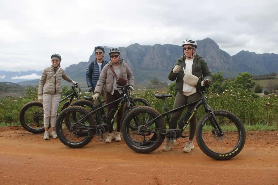 Stellenbosch: Countryside Banhoek valley E-Bike Wine Tour - Second farm stop: flexibility from Thelema, Zorgvliet, or Tokara