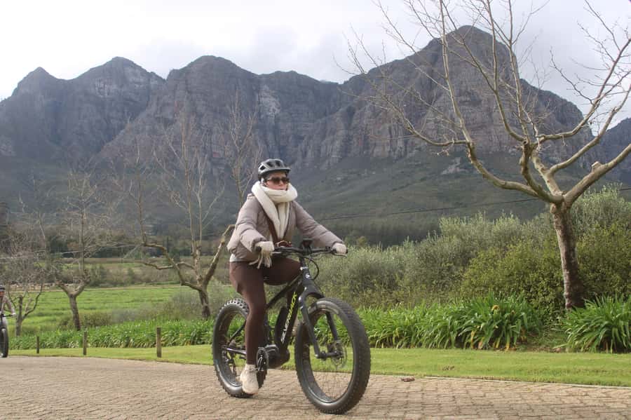 Stellenbosch: Countryside Banhoek valley E-Bike Wine Tour - Price and value: is $85 worth it for 3.5 hours?