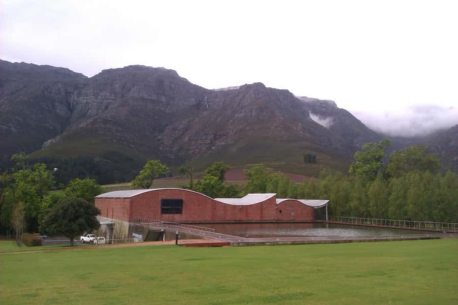 Stellenbosch: Daily Diffirent small group full day wine tour - Why Stellenbosch Feels Different With a Winemaker in the Seat