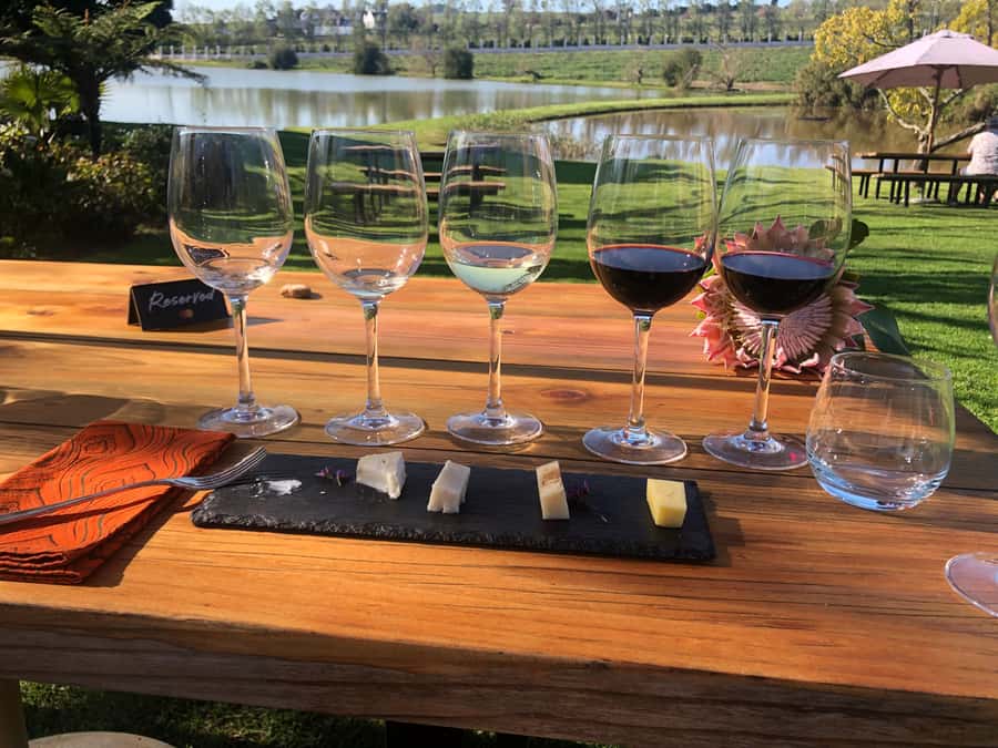 Stellenbosch: Daily Diffirent small group full day wine tour - Alto Wine Estate: The Lunch Break and a Chance to Slow Down