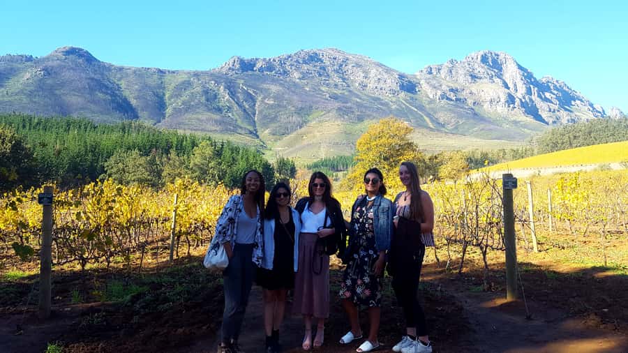 Stellenbosch: Eastern Route Hop-On Hop-Off Wine Tour - Leaving Stellenbosch Central With an Air-Conditioned Plan