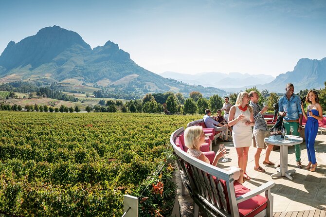 Stellenbosch & Franschhoek Wine Tasting Private Tour incl. Lunch - Key Highlights Worth Your Attention