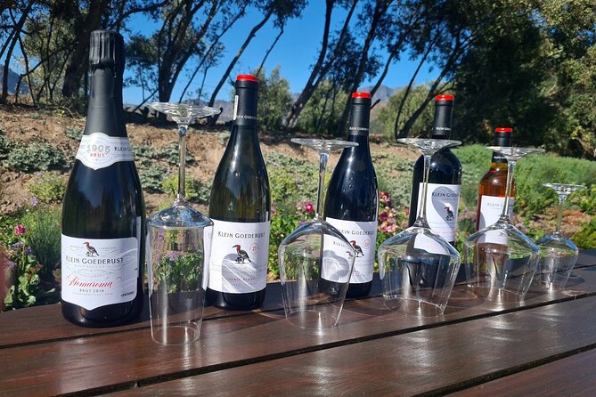 Stellenbosch & Franschhoek Wine Tasting Private Tour incl. Lunch - Guide and Driver: Why Private Pacing Feels Less Stressful