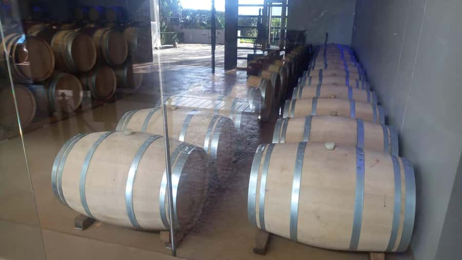 Stellenbosch, Franshoek ,Paarl Region (20 wine tastings) - Stellenbosch town orientation: get your bearings fast, then taste