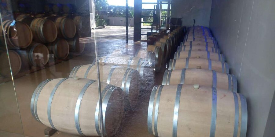 Stellenbosch, Franshoek ,Paarl Region (20 wine tastings) - Fairview in Franschhoek: wine and cheese in the food-and-wine capital