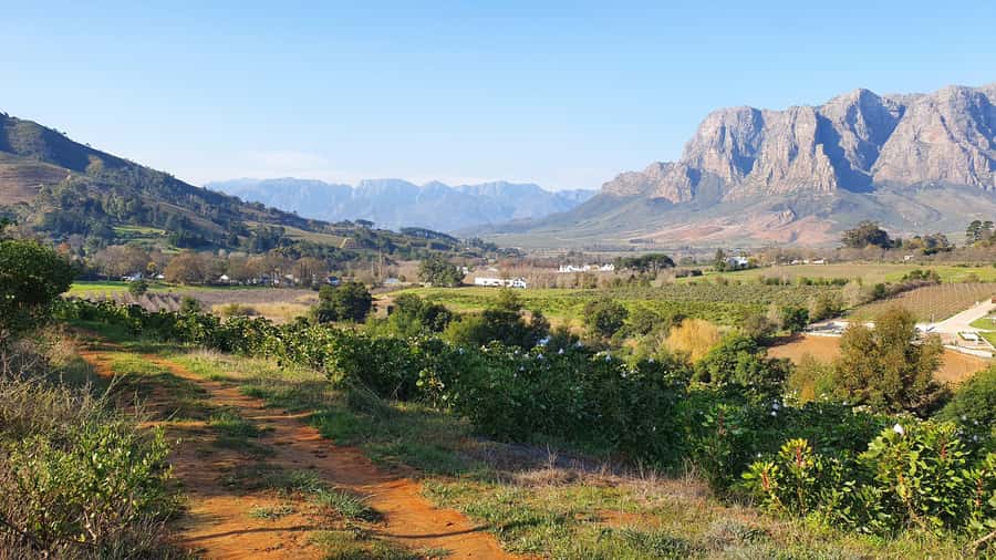 Stellenbosch: Guided Vineyard Hike and Wine Tasting - From Your Stellenbosch Hotel to the Trail: Easy Start, Real Time Outside