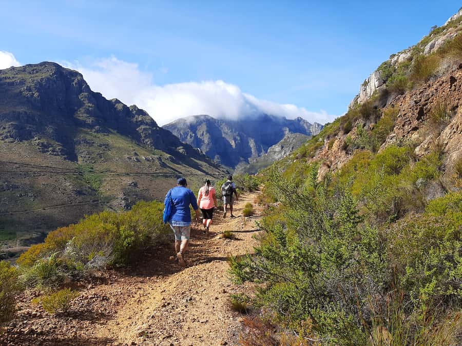 Stellenbosch: Half-Day Guided Nature Hike and Wine Tasting - Banhoek Hike and Wine Tasting: the key highlights