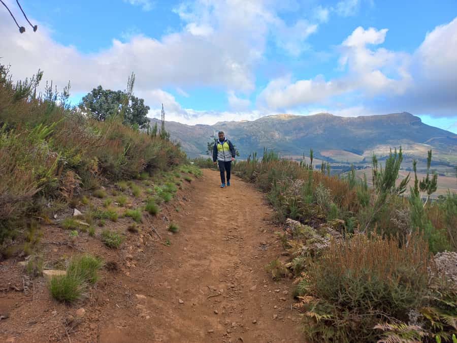Stellenbosch: Half-Day Guided Nature Hike and Wine Tasting - Should You Book This Half-Day Hike and Wine Tasting in Stellenbosch?