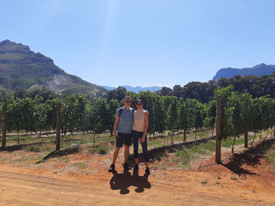 Stellenbosch: Half-Day Guided Nature Hike and Wine Tasting - Banhoek Valley, 4 Hours, and Why This Combo Works