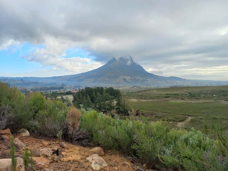 Stellenbosch: Half-Day Guided Nature Hike and Wine Tasting - The 9 km Banhoek Conservancy Hike: What You Really Get