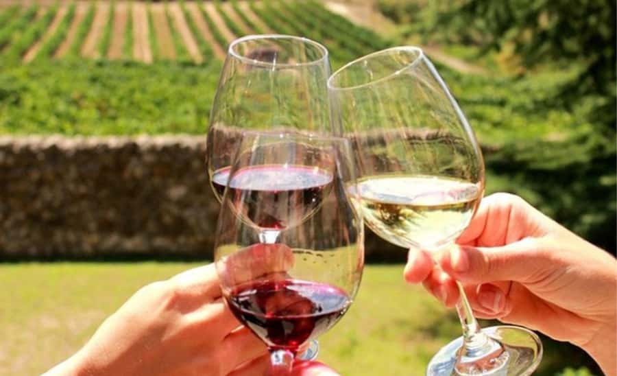 Stellenbosch: Half-Day Wine Tour - Key highlights at a glance