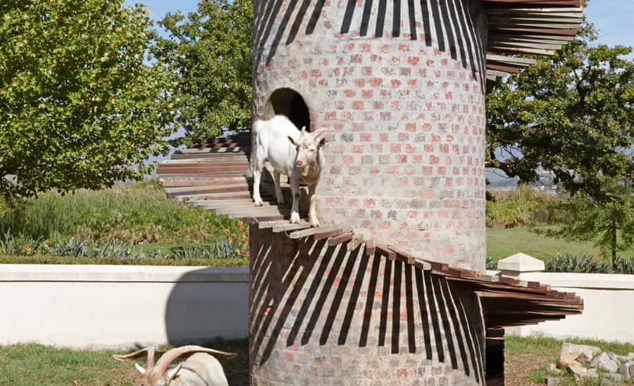Stellenbosch: Half-Day Wine Tour - Should you book it?
